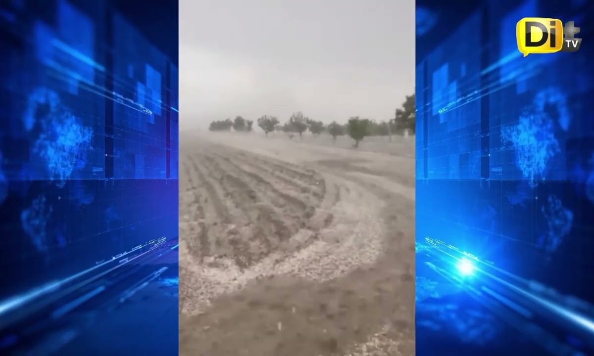 GRANIZADA AFECTA CULTIVOS EN PUEBLA