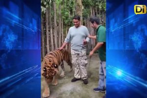 SALE MAL LA SELFIE; HOMBRE ES AGR3DID0 POR TIGRE 🐅