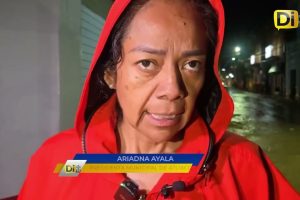 VIVEROS DE ATLIXCO LOS MÁS AFECTADOS TRAS INTENSA TORMENTA