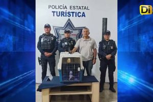 HALLAN COCODRILO EN CENTRO HISTÓRICO DE PUEBLA
