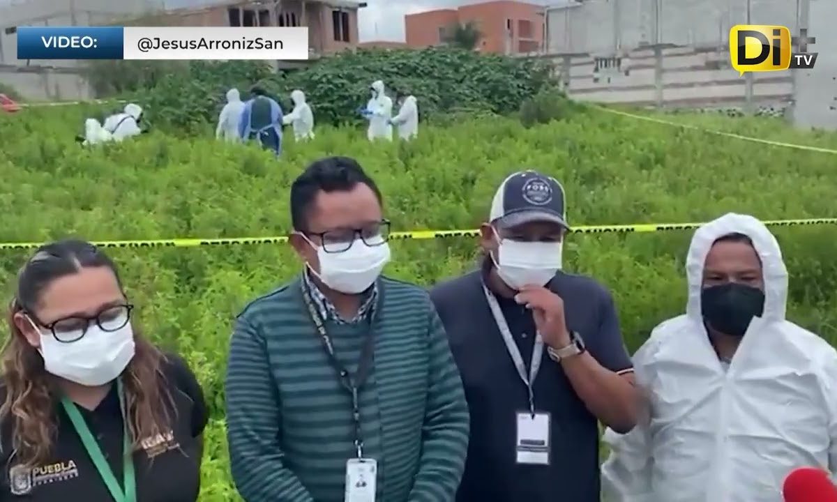 CON EXHUMACIÓN DEL CUERPO DE UN PERRO PRETENDEN ESCLARECER CAUSA DE MUERTE