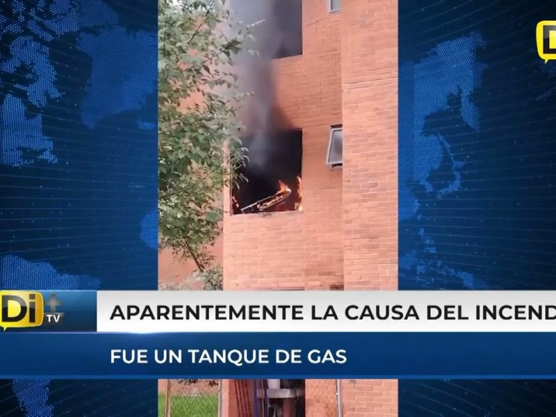 PERRITOS TRAVIESOS PROVOCAN INCENDIO EN DEPARTAMENTO