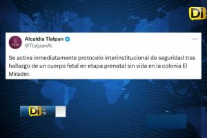 UN JOVEN ABANDONÓ UN FETO EN JARDINERA DE LA CDMX