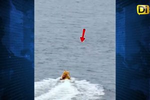 ¡HÉROE SIN CAPA! PAPÁ SE LANZA AL MAR PARA RESCATAR A SU HIJA