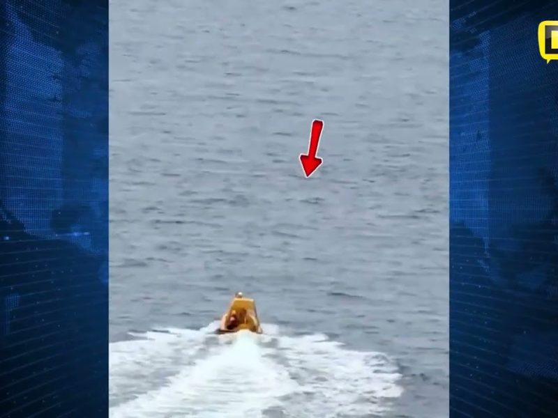 ¡HÉROE SIN CAPA! PAPÁ SE LANZA AL MAR PARA RESCATAR A SU HIJA