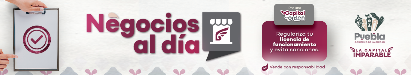 Banner Top