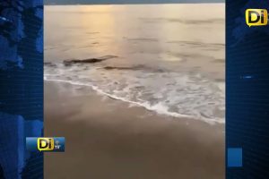 TURISTA A PUNTO DE SER ATACADO POR COCODRILO EN PUERTO VALLARTA