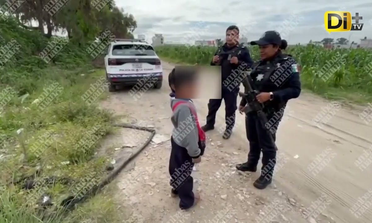 NIÑO DE 8 AÑOS SE ESCAPA DE SU CASA PARA IR A BUSCAR A SU PAPÁ