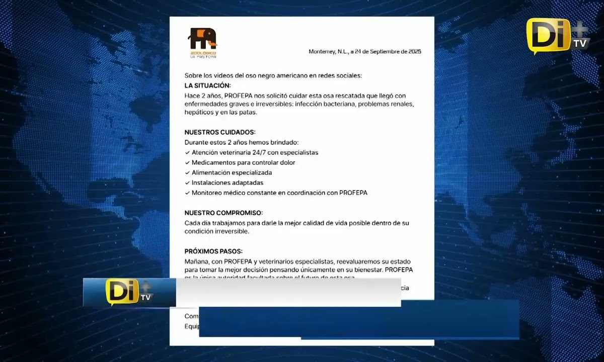 DENUNCIAN MAL ESTADO DE OSA EN PELIGRO DE EXTINCIÓN EN ZOOLÓGICO DE NL