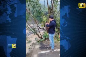 ¡OTRA VEZ! LLUVIAS PROVOCAN COLAPSO DE UN PUENTE EN TLACUILOTEPEC