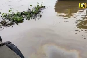 ¡POBRE VERACRUZ! AHORA ENFRENTA EMERGENCIA POR DERRAME DE PETRÓLEO