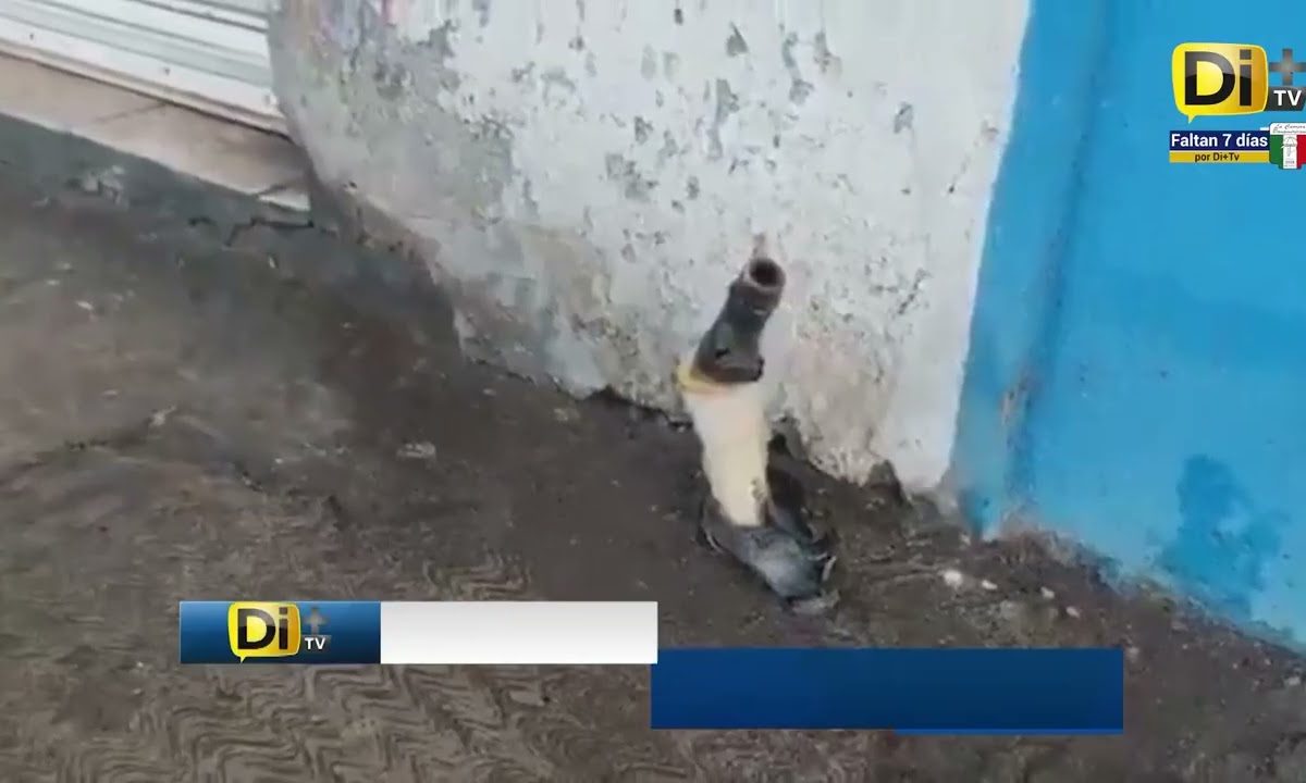 ALERTA A VECINOS FUGA DE GAS EN COLONIA NACIONES UNIDAS