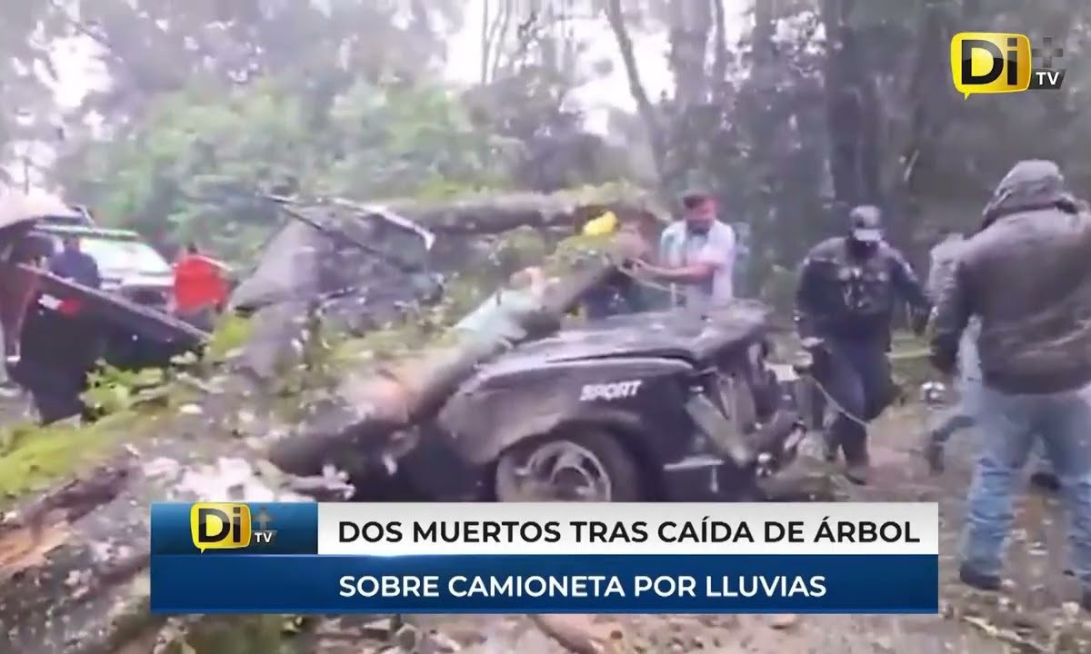 SALVAN A NIÑA QUE IBA EN CAMIONETA APLASTADA POR ÁRBOL; SUS PAPÁS NO LO LOGRARON