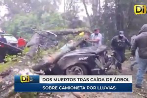 SALVAN A NIÑA QUE IBA EN CAMIONETA APLASTADA POR ÁRBOL; SUS PAPÁS NO LO LOGRARON