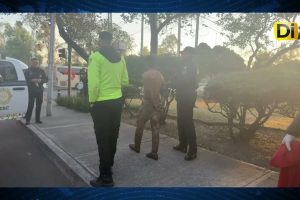 ESCALOFRIANTE: DETIENEN A SUJETO POR CRUELDAD ANIMAL EXTREMA EN LA GAM