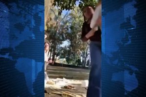 ¡PICNIC FAMILIAR TERMINA EN ASALTO EN LOS FUERTES!