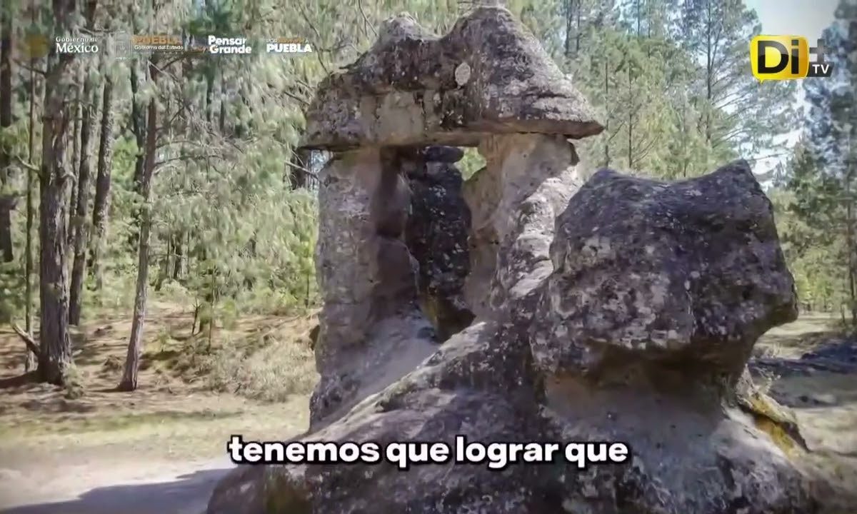 ¡ZACATLÁN TENDRÁ MUSEO DE LA MANZANA!