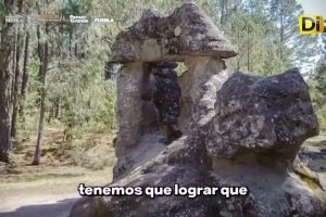 ¡ZACATLÁN TENDRÁ MUSEO DE LA MANZANA!