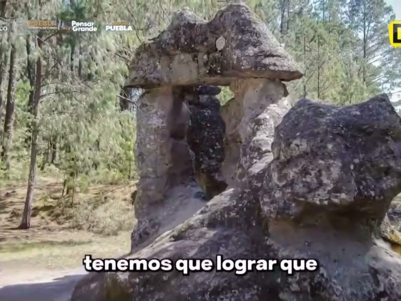 ¡ZACATLÁN TENDRÁ MUSEO DE LA MANZANA!