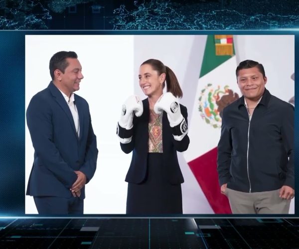 GOBIERNO FEDERAL Y CMB