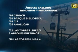 ÁRBOLES REMOVIDOS POR CABLEBÚS SERÁN RESTITUIDOS
