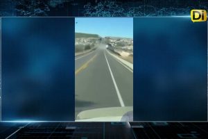 ¡VIVE PARA CONTARLO! CHOFER SE SALVA TRAS CAER A UNA BARRANCA