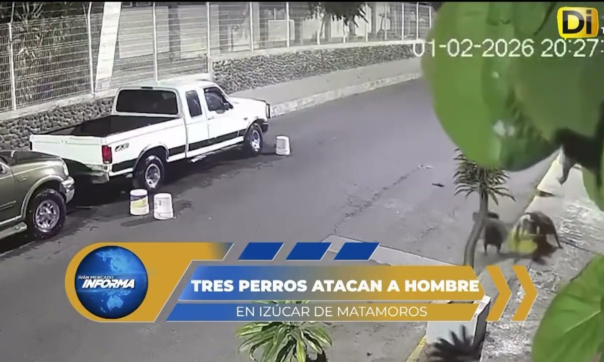 FEROZ ATAQUE DE PERROS A UN HOMBRE EN IZÚCAR