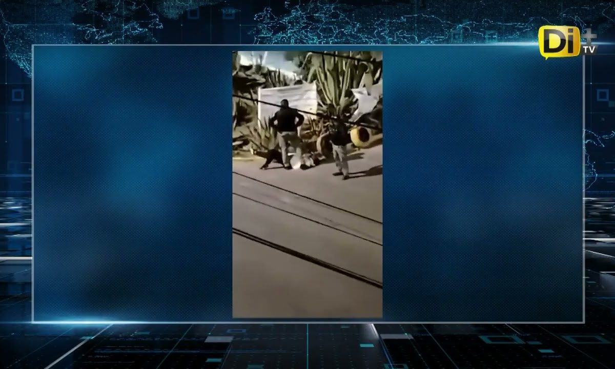 UN DETENIDO TRAS PERSECUCIÓN Y DISPAROS EN BOSQUES DE SAN SEBASTIÁN