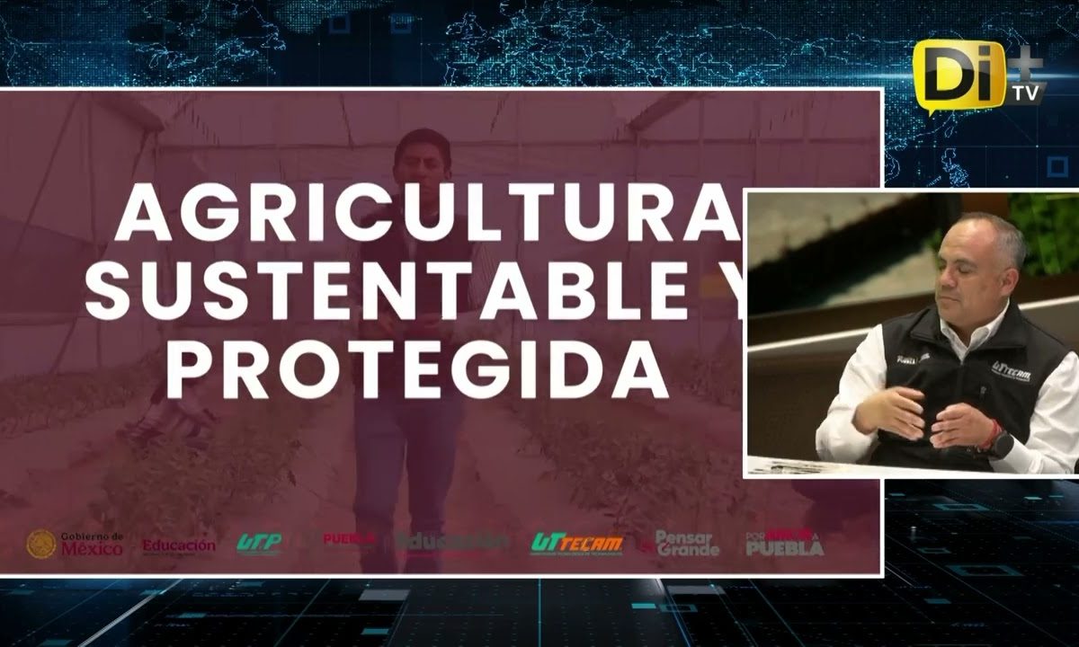 CONOCE LA OFERTA EDUCATIVA DE LA UNIVERSIDAD TECNOLÓGICA DE TECAMACHALCO