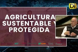 CONOCE LA OFERTA EDUCATIVA DE LA UNIVERSIDAD TECNOLÓGICA DE TECAMACHALCO