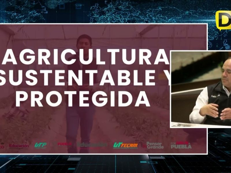 CONOCE LA OFERTA EDUCATIVA DE LA UNIVERSIDAD TECNOLÓGICA DE TECAMACHALCO