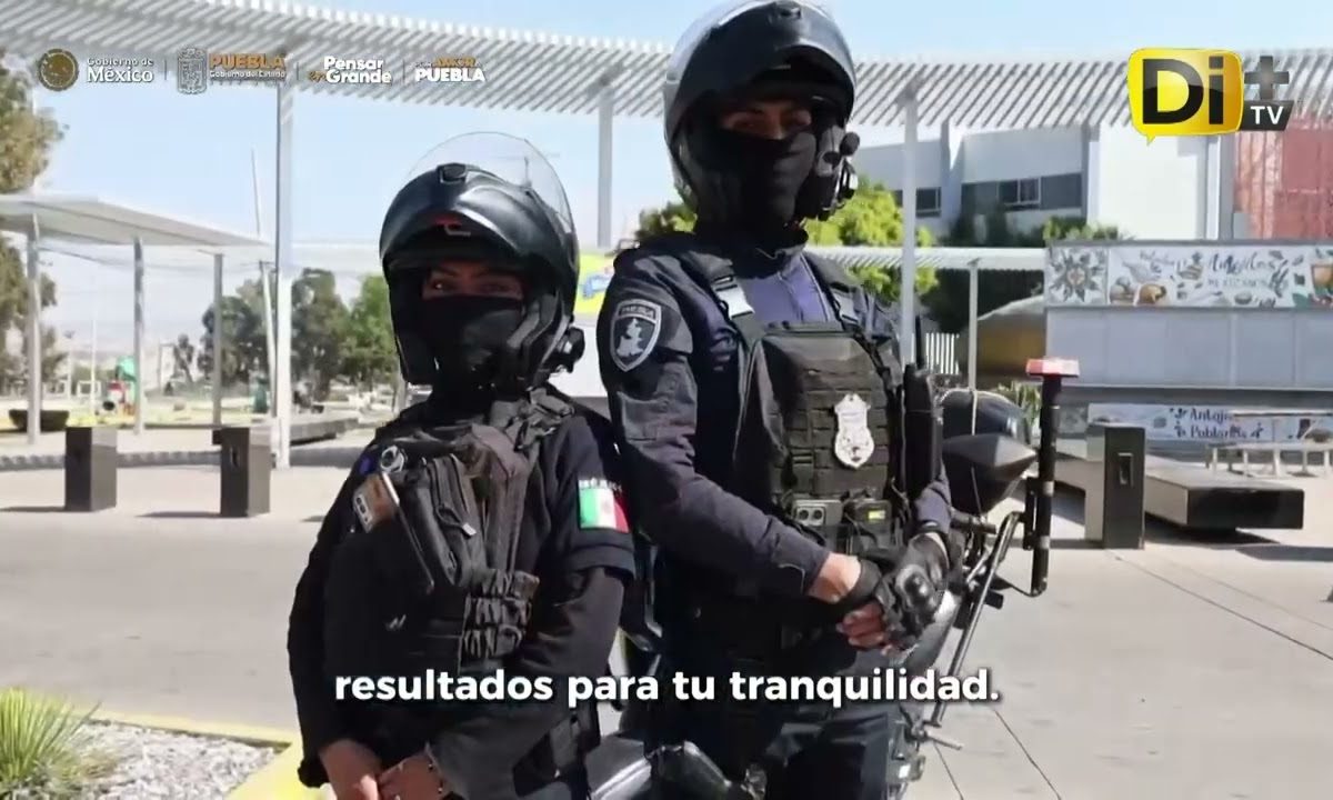 GOLPE CONTUNDENTE A LA DEL1NCU3NCIA ORGANIZADA