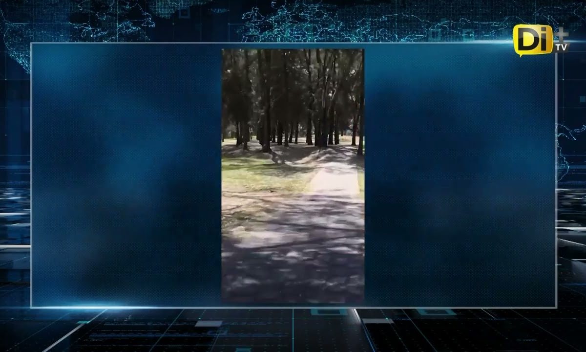 COPA PRISSA EN PUEBLA