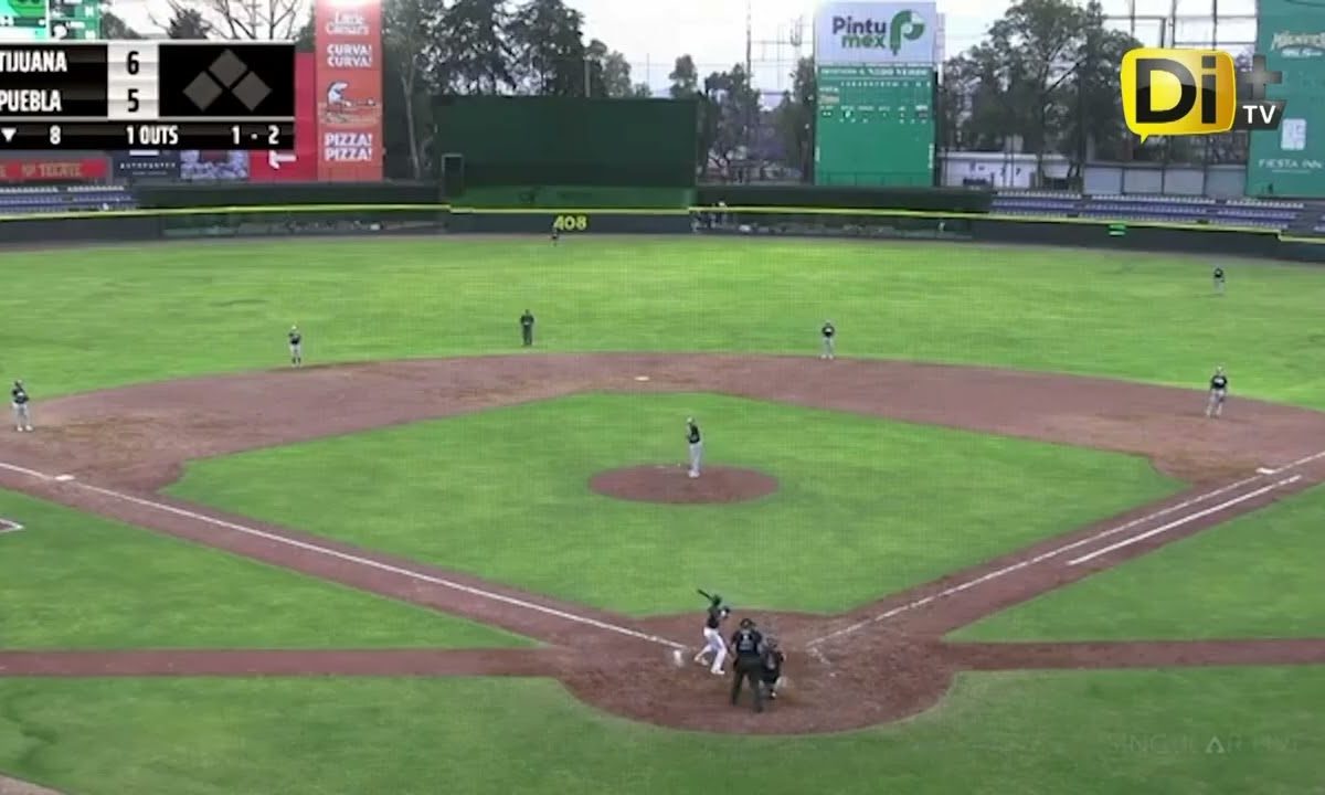 🦜⚾ ¡Victoria emplumada!
