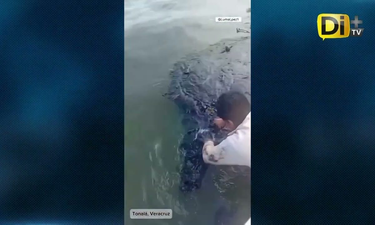 CONTINÚA INVESTIGACIÓN POR DERRAME EN EL GOLFO