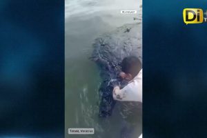 CONTINÚA INVESTIGACIÓN POR DERRAME EN EL GOLFO