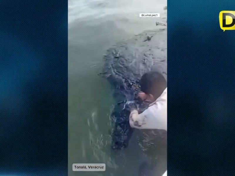 CONTINÚA INVESTIGACIÓN POR DERRAME EN EL GOLFO