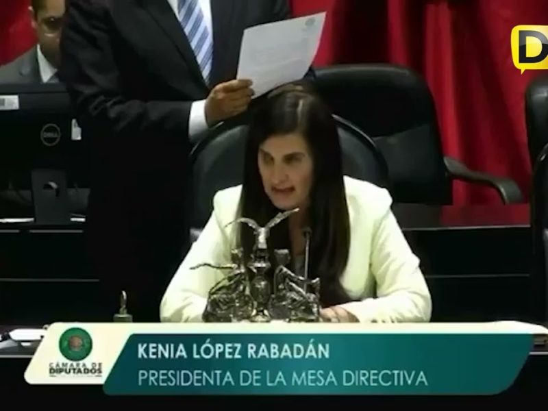 DIPUTADOS RATIFICAN A CRUZ GARCÍA PARA INE