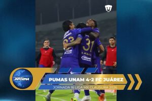 ACTIVIDAD DE LIGA MX J16