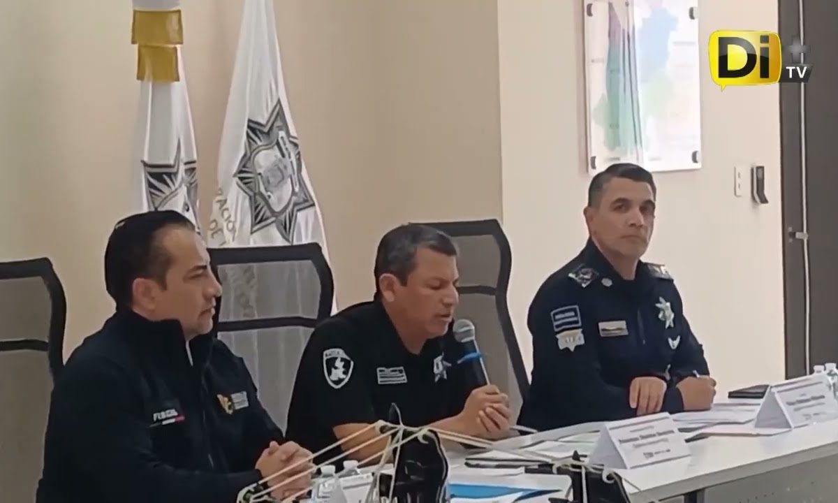 MÁS DE TRESCIENTOS DETENIDOS EN OPERATIVOS ESTATALES