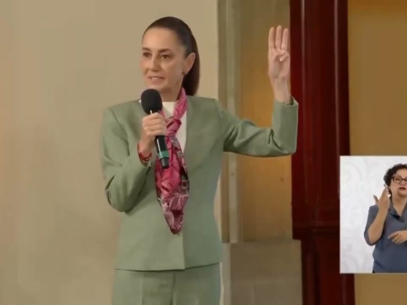 REFORMA ELECTORAL: VICTORIA PARA LA DEMOCRACIA