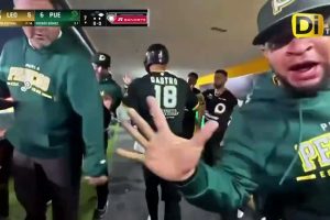 ACTIVIDAD DE LA MLB