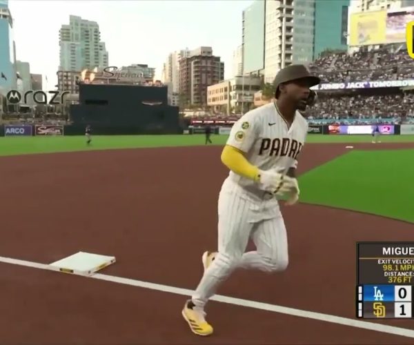 MLB GRANDES LIGAS