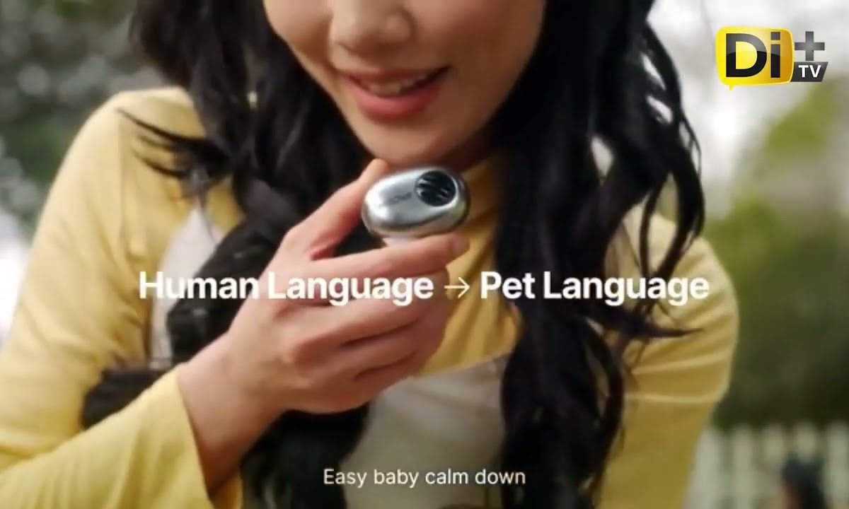 ESTO CUESTA EL COLLAR CHINO QUE TRADUCE LADRIDOS