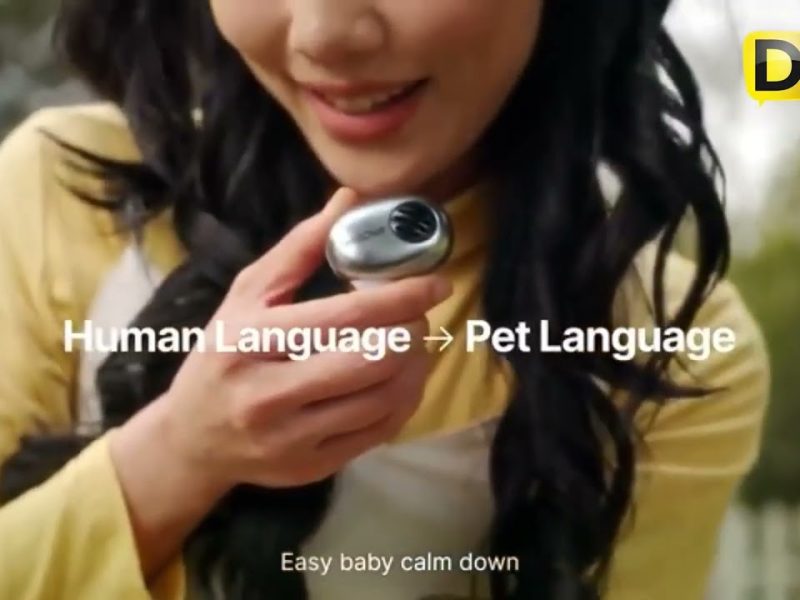 ESTO CUESTA EL COLLAR CHINO QUE TRADUCE LADRIDOS