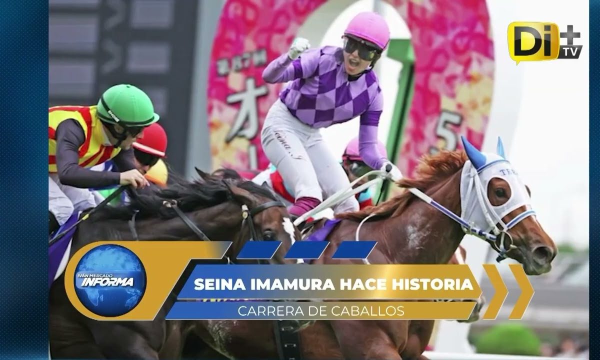 HISTORIA EN JAPON