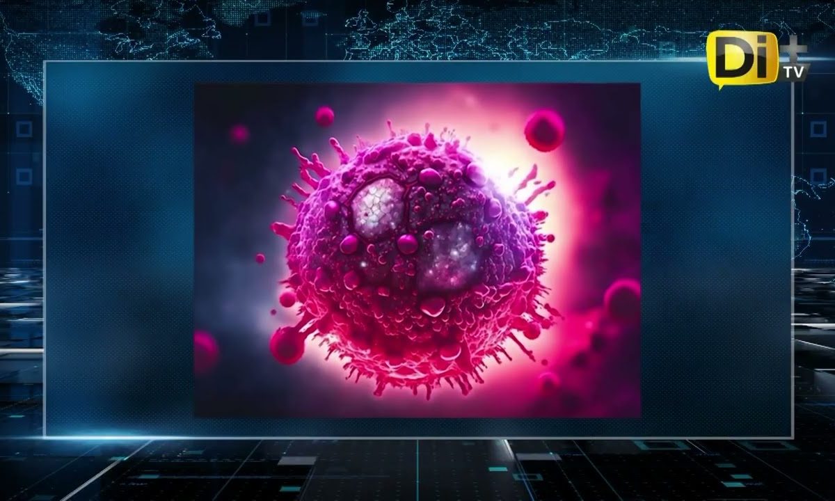 ESTADOS UNIDOS ACTIVA EMERGENCIA NIVEL TRES POR HANTAVIRUS