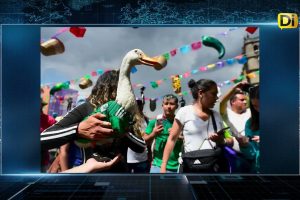 REGISTRO PATO MERLIN