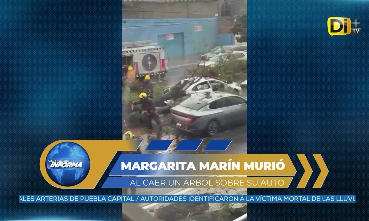 MUERTA LLUVIA