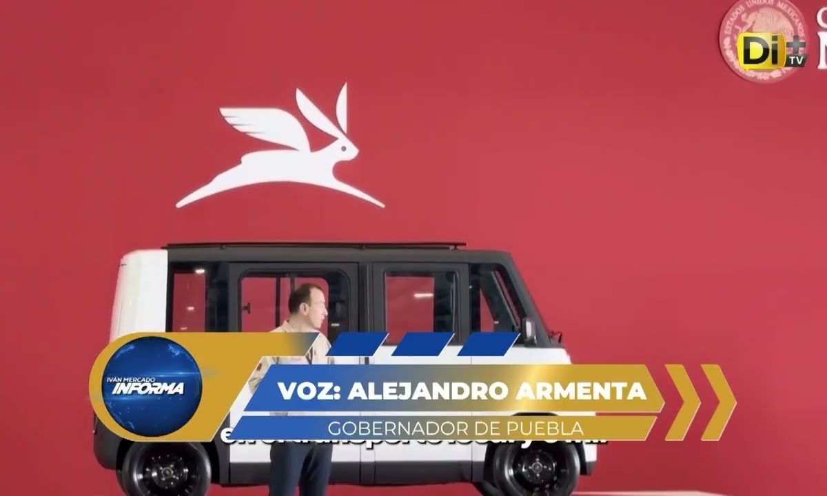FLOTILLA OLINEA